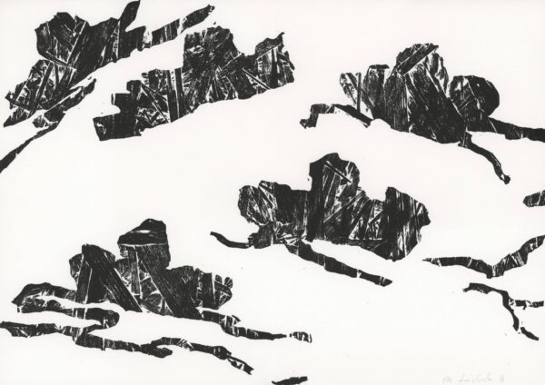 Assembling: Mapping the Cosmos - Image 25