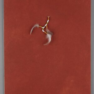 The Sacajewea Fragments