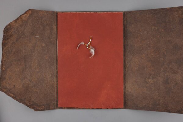 The Sacajewea Fragments - Image 2
