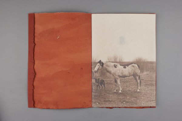 The Sacajewea Fragments - Image 3