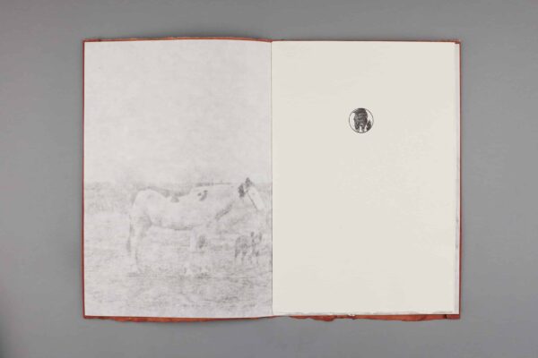 The Sacajewea Fragments - Image 4