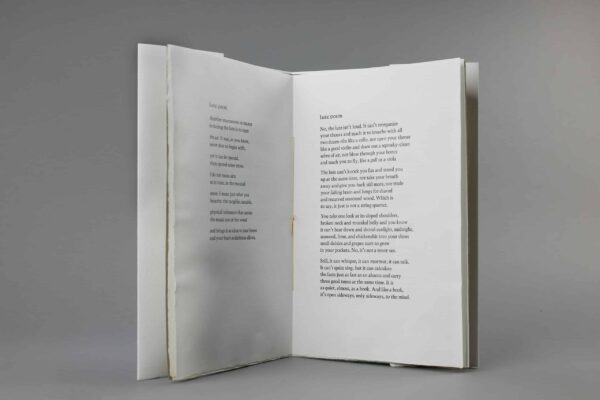 Seven Poems with One Title - Image 7