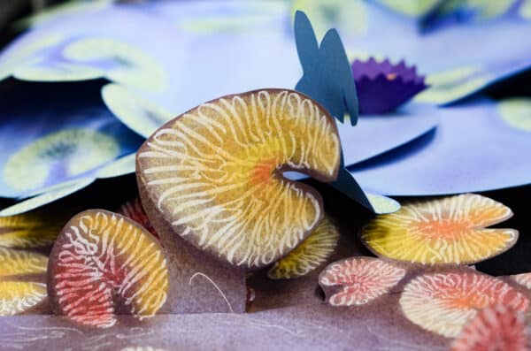 Homepage Codex Foundation