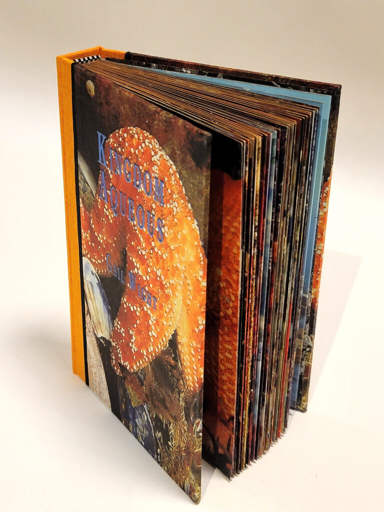 Gail Wight/Salt Point Press: <br><i>Kingdom Aqueous</i>