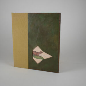 Bailey, Alicia + Ravenpress: Evanesco: a selection of beleaguered frogs