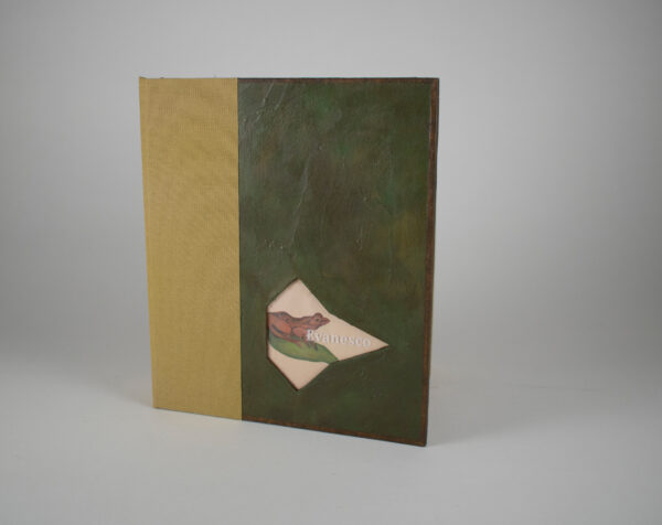 Bailey, Alicia + Ravenpress: Evanesco: a selection of beleaguered frogs