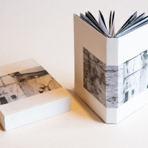 Laila Nahar/Night Rain Press: <br><i>Face to Faith</i>