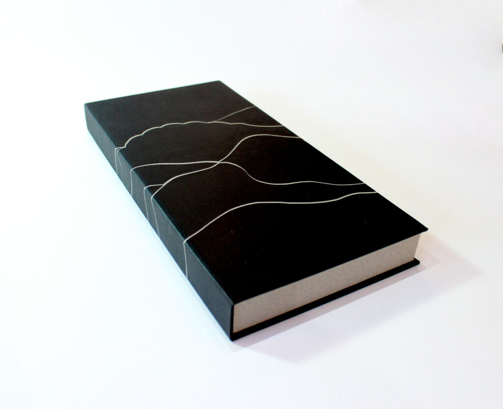 Paulina Rodriguez Joui: <br><i>Desierto</i>