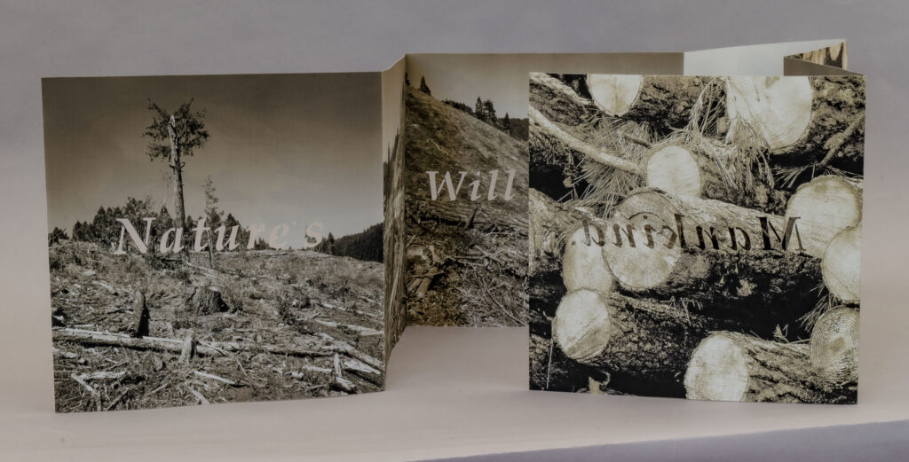 Tony Bellaver/Quite Contrary Press: <br><i>Nature's Memory</i>
