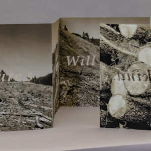 Tony Bellaver/Quite Contrary Press: <br><i>Nature's Memory</i>