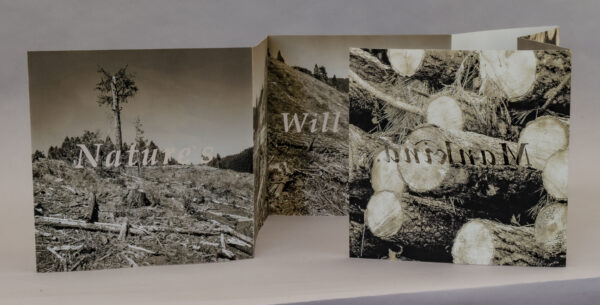 Quite Contrary Press: Nature's Memory