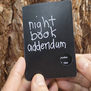 Susan Mills: <br><i>Night Book</i>