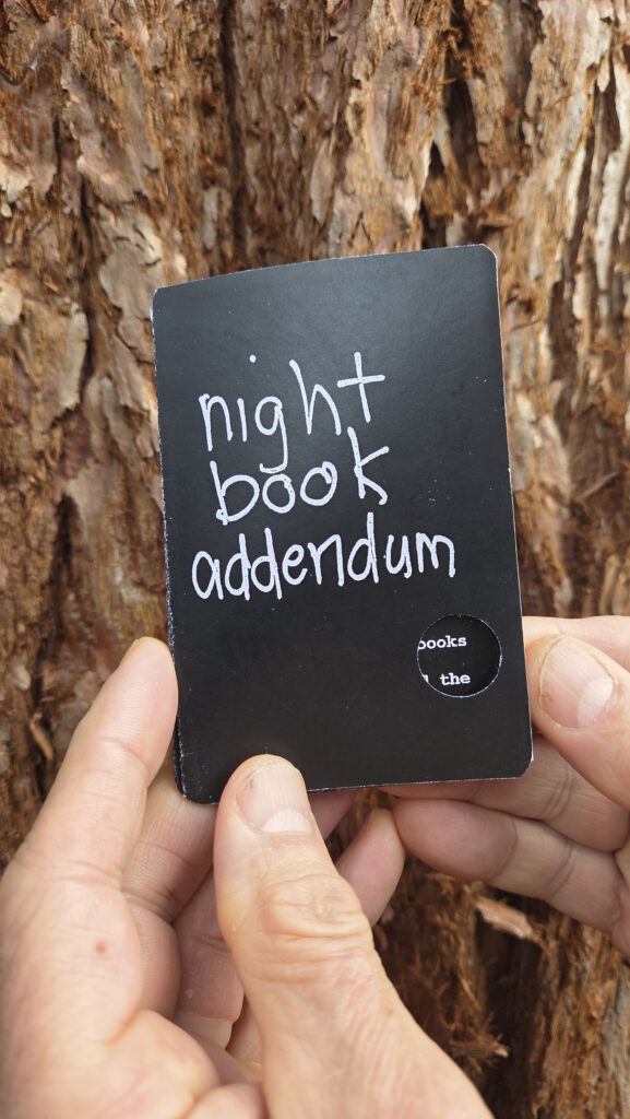 Susan Mills: <br><i>Night Book</i>