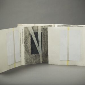 Ana Paula Cordeiro: <br><i>Pathern</i>