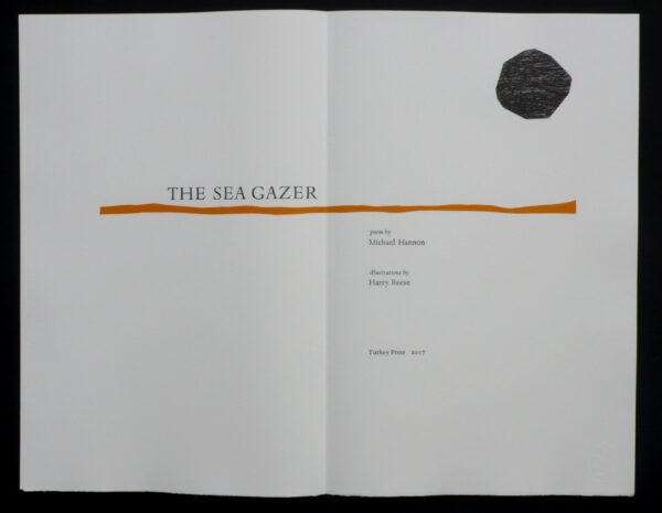 Turkey Press: The Sea Gazer