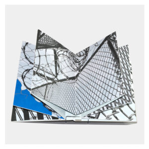 Anémona Editores: The Vast Sky