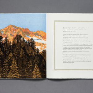 Diane Jacobs/Scantron Press: <br><i>Owed to The Mountain</i>