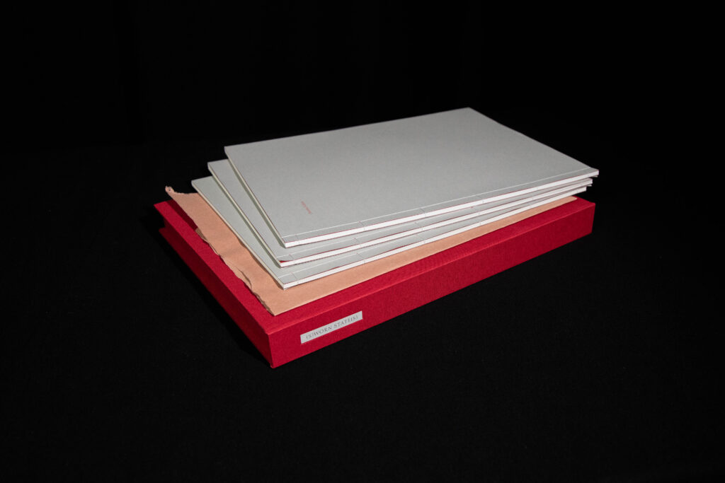Jamie Murphy/The Salvage Press: <br><i>(S)worn State(s)</i>