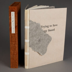 Rainmaker Editions: <br><i>Trying to Save Piggy Sneed</i>