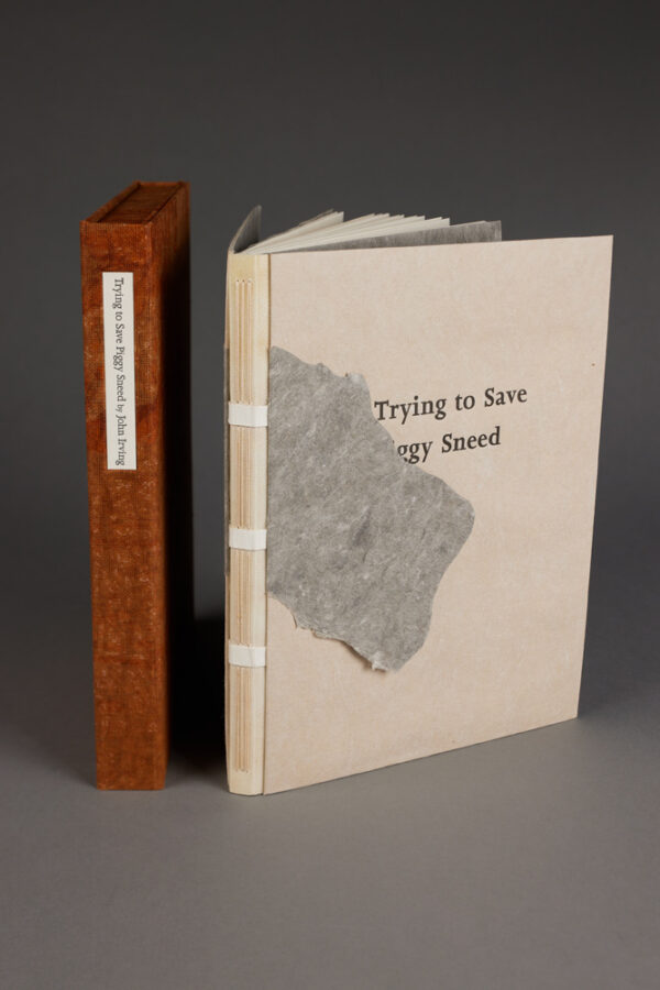 Rainmaker Editions: <br><i>Trying to Save Piggy Sneed</i>