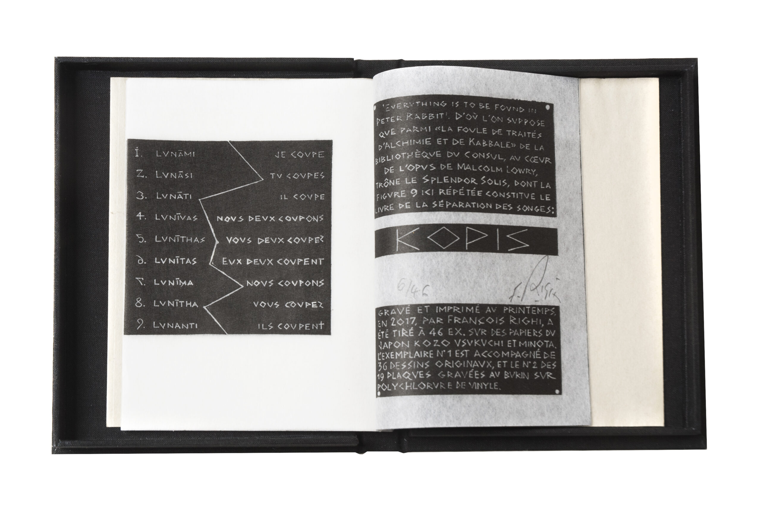 François Righi: <br><i>Kopis, ou la Séparation des Songes</i> - Image 4