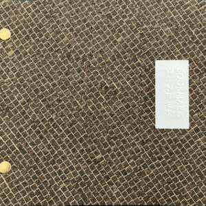 Ed Rayher/Swamp Press: <br><i>Winter Bookmark</i>