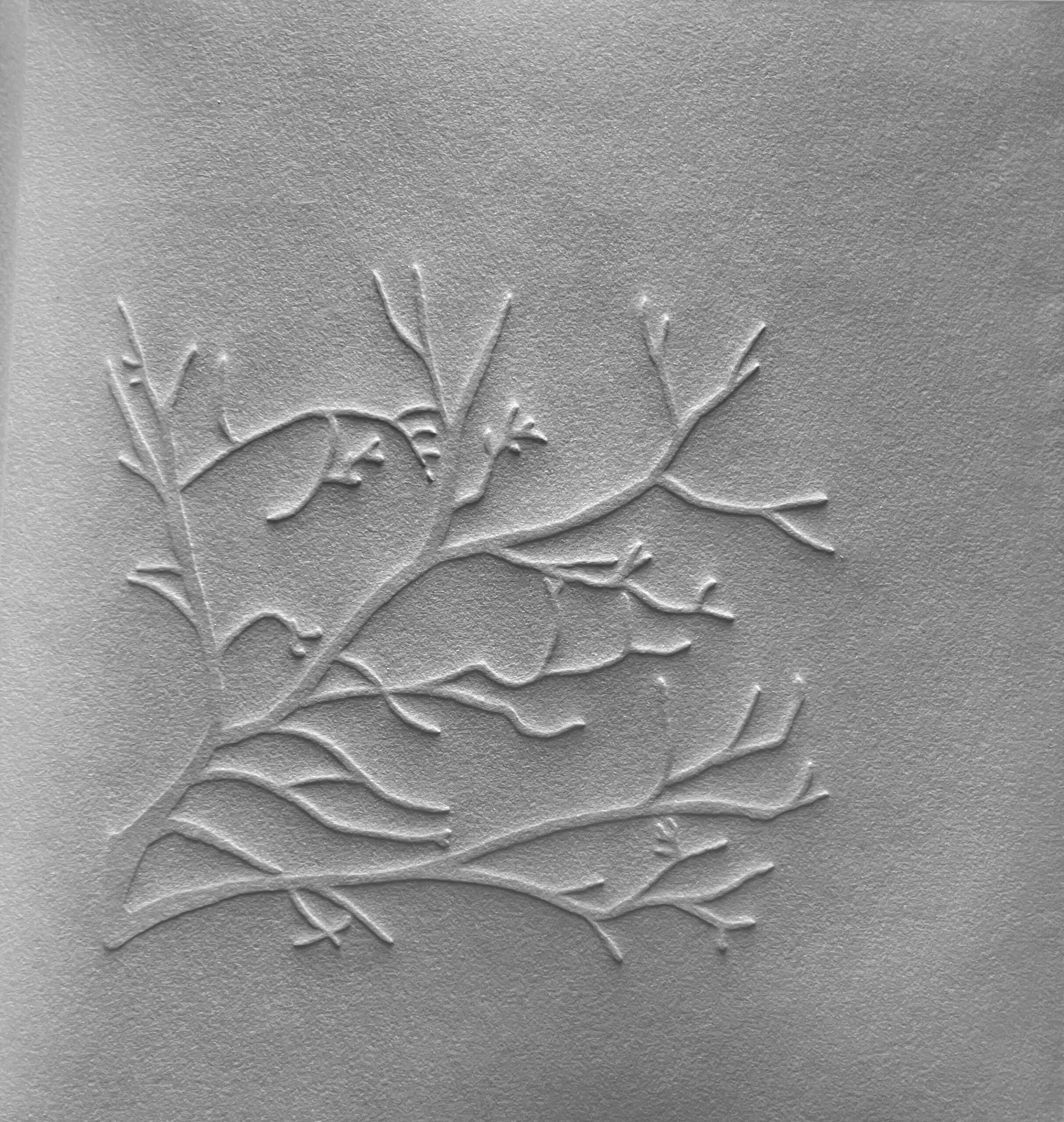 Ed Rayher/Swamp Press: <br><i>Winter Bookmark</i> - Image 4
