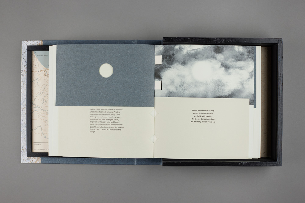Claire Van Vliet/Janus Press: <br><i>The Silences Between (Moeraki Conversations)</i> - Image 3