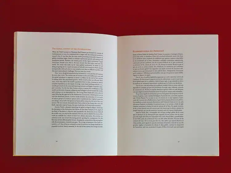 Elies Plana:<br><i>Did we save our volcanoes or did they save us?</i> - Image 4